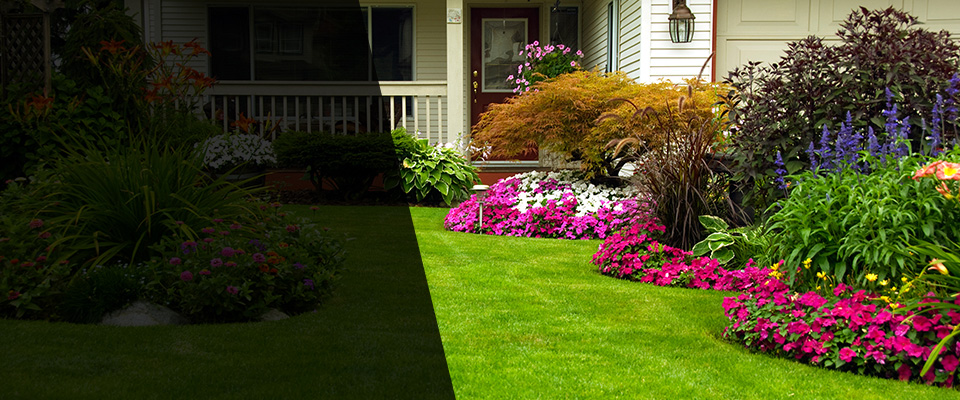 Chicago Heights Landscapers
