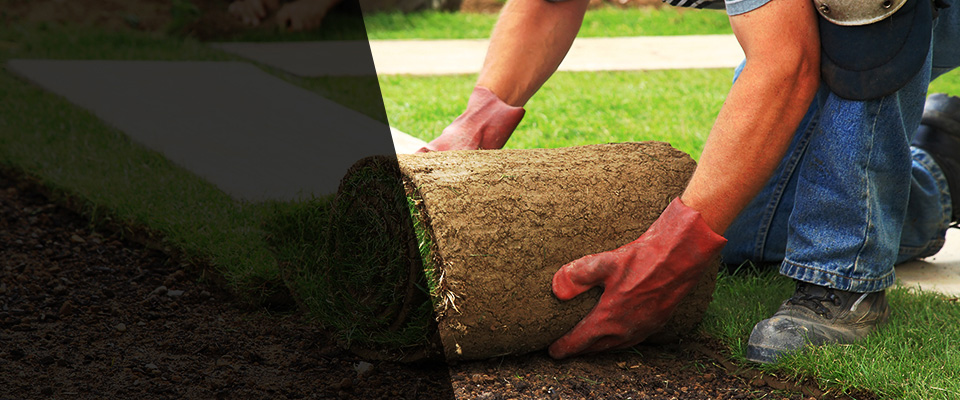 Chicago Heights Landscapers